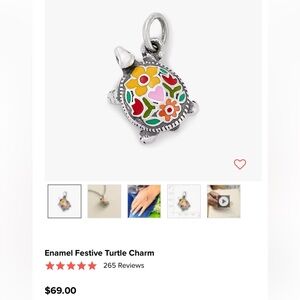 Enamel Festive Turtle Charm